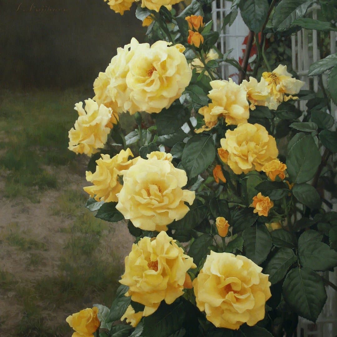 鶴の来る町ミュージアムTOP